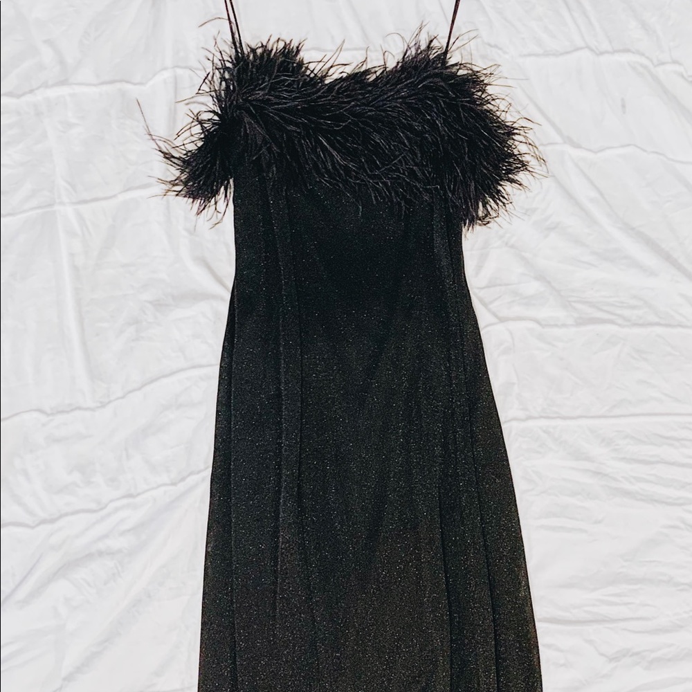 Long Sparkly Feathered Dress